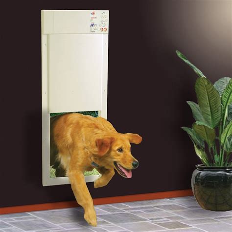 Electronic Dog Doors 